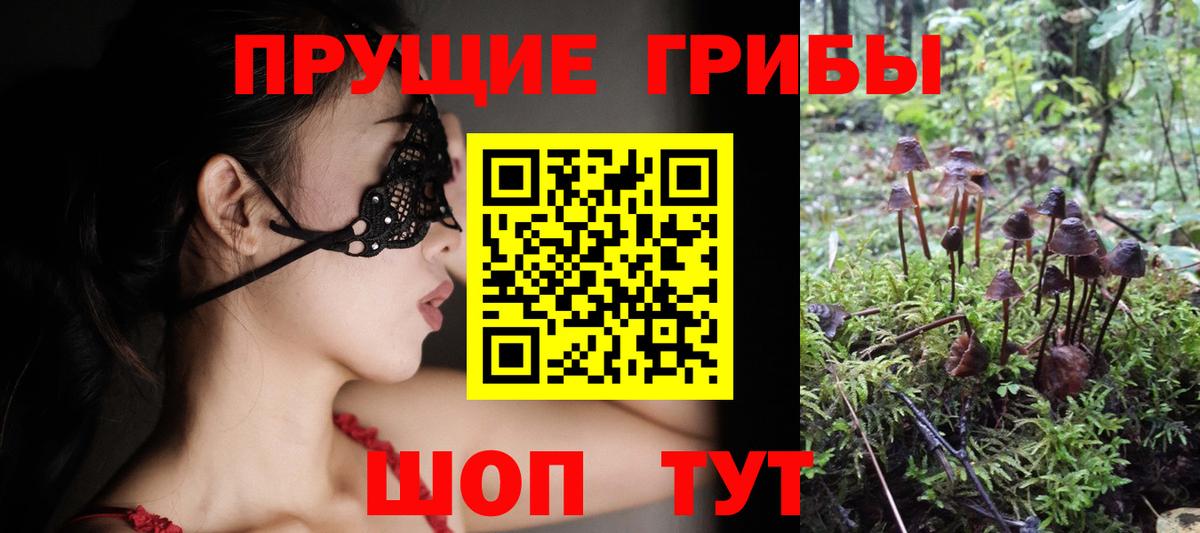 Псилоцибиновые грибы Cubensis Выборг
