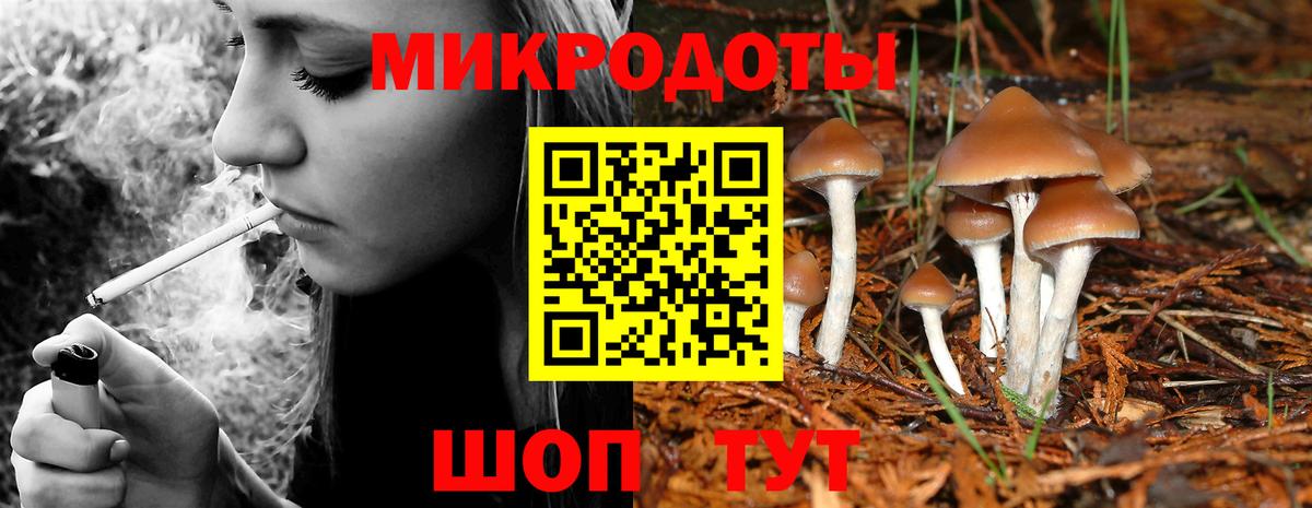 Выборг  Галлюциногенные грибы Cubensis  Вход с VPN 